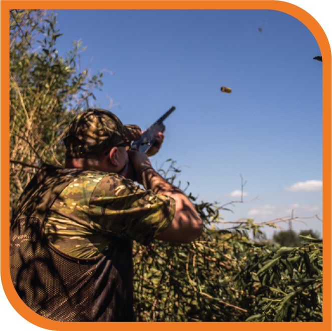 Argentina Dove Hunting - Review Hunting Experience