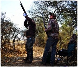 Cordoba Dove Hunting