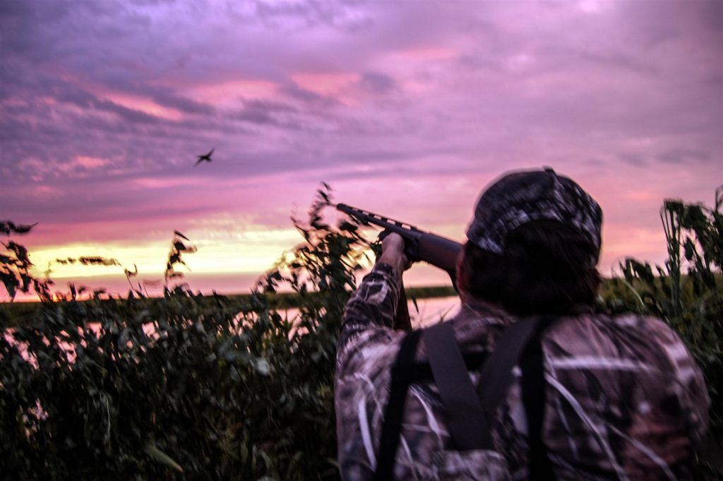Argentina black duck hunting