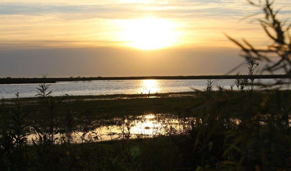 Duck blind setup for hunting pressured ducks