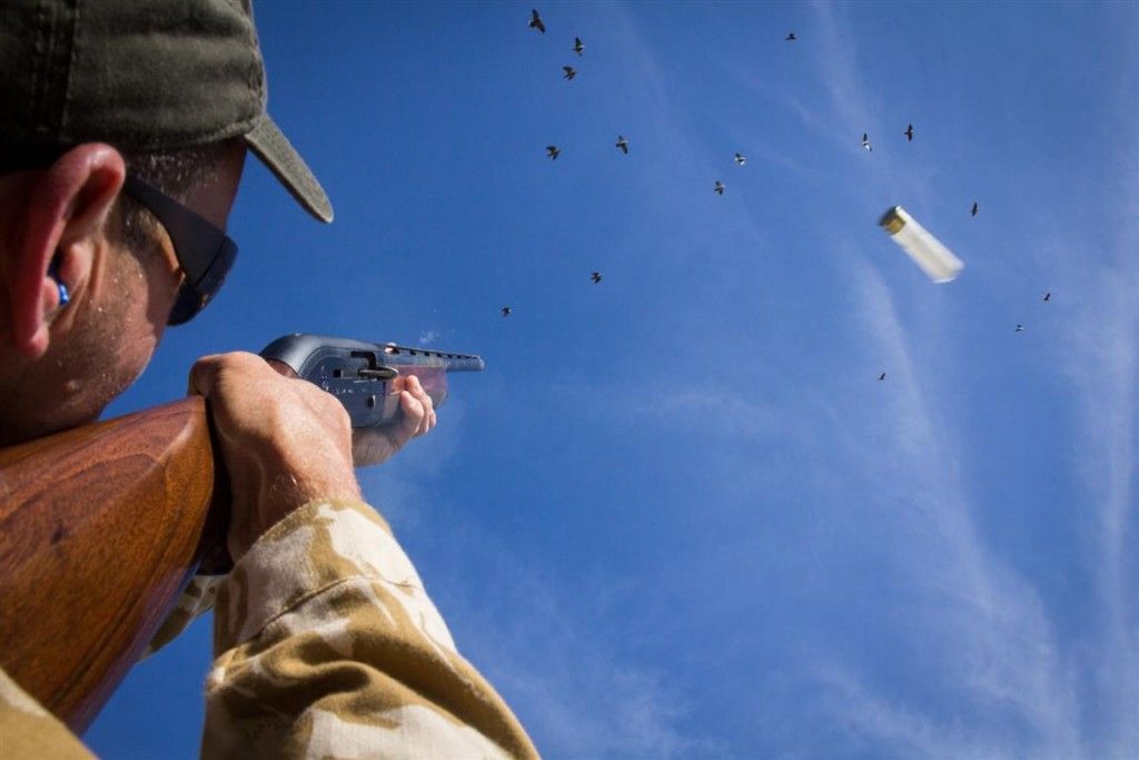 wingshooting practice in Argentina