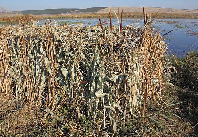 duck blind tips for hunting concealment setup