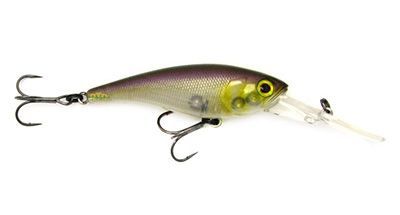 Weight control fishing rigs Argentina dorado fishing