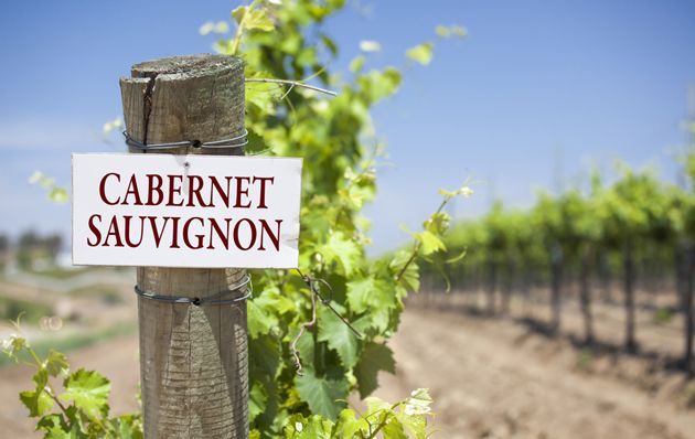 food and wine pairings from Argentine sommeliers Cabernet Sauvignon wine