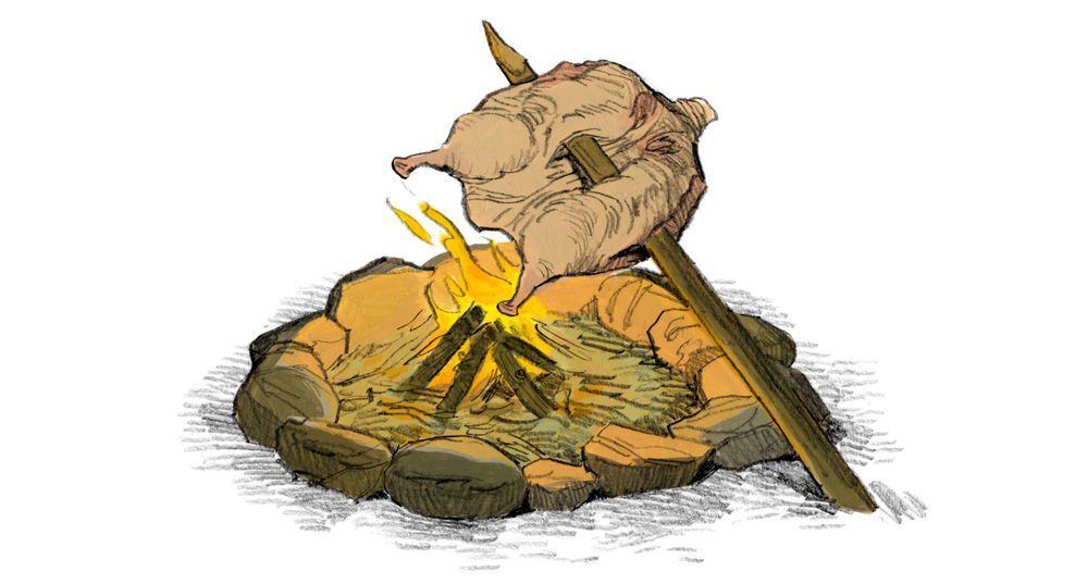 Duck cooking on a stick over campfire flames