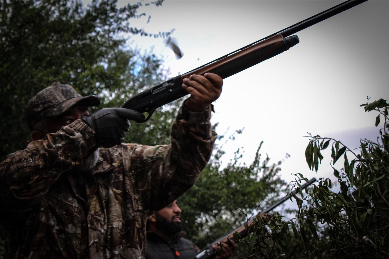 dove hunting tips sitting shot