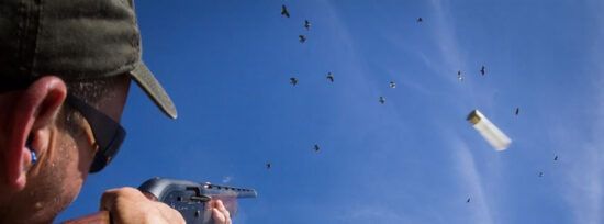C&C Outfitters - Dove Hunting Tips