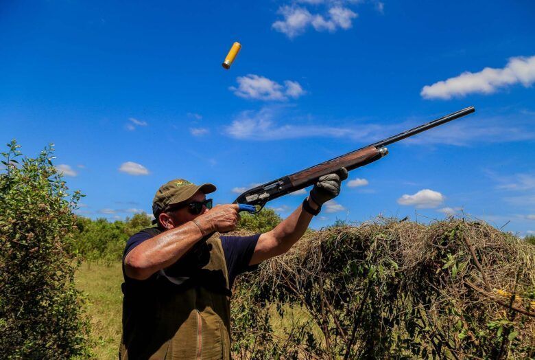 Dove Hunting Tactics