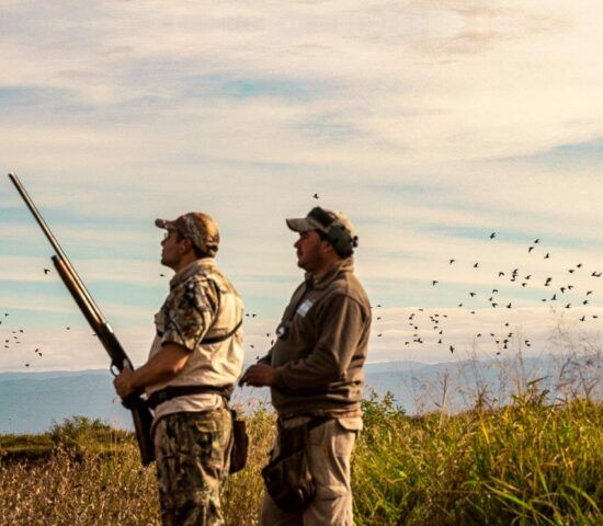 Dove hunter with guide in the field, waiting for the perfect moment as hundreds of doves fly overhead in Tucumán, Argentina, preparing for an incredible dove hunting experience with C&C Outfitters' exclusive hunting packages