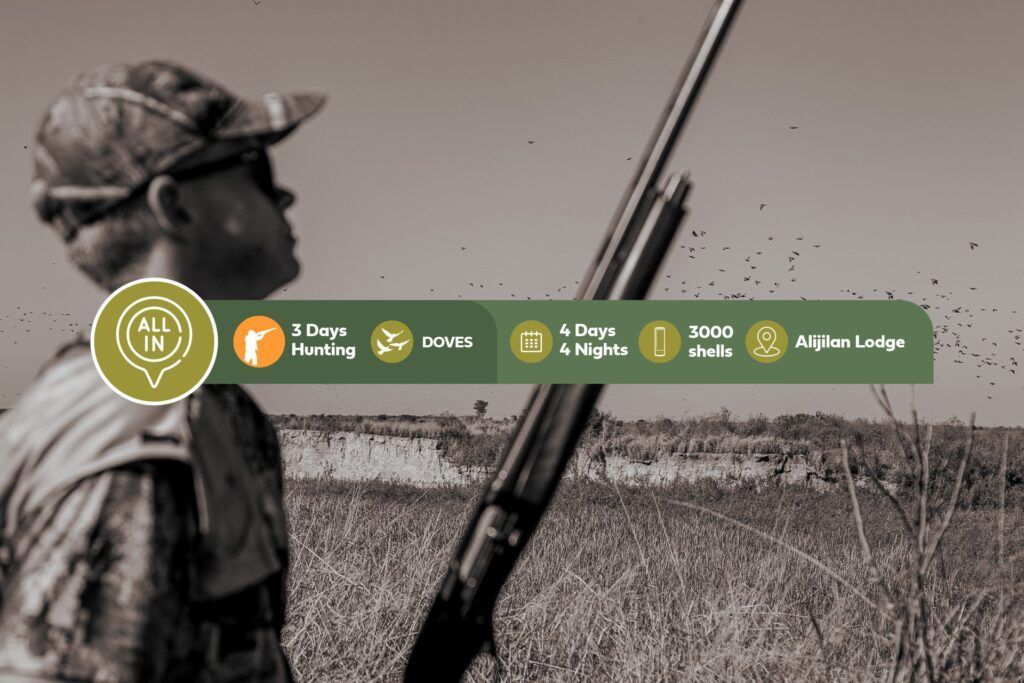 Three Days of Dove Hunting in Argentina