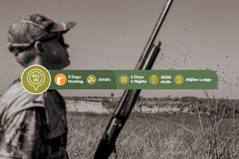 express dove hunting 3 days - all inclusive