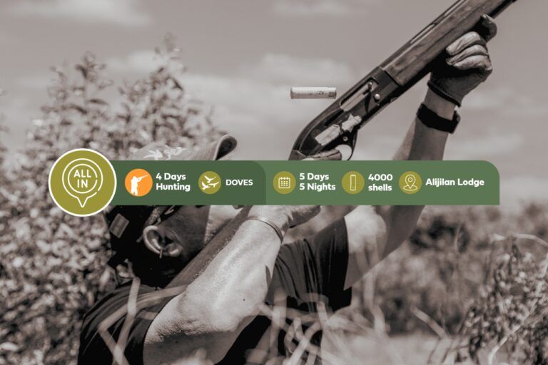 Four Days of Dove Hunting in Argentina