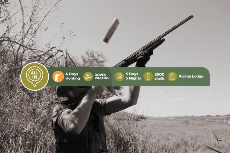 classic dove and pigeon hunting 4 days - all inclusive