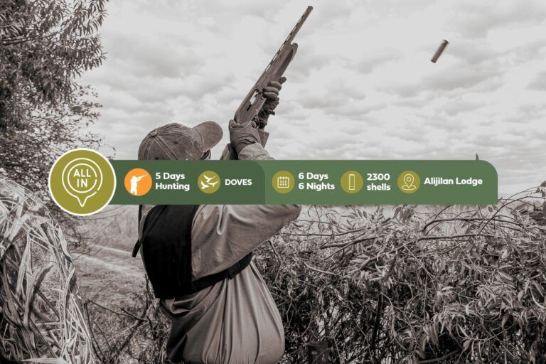 Five Days of Dove Hunting in Tucumán