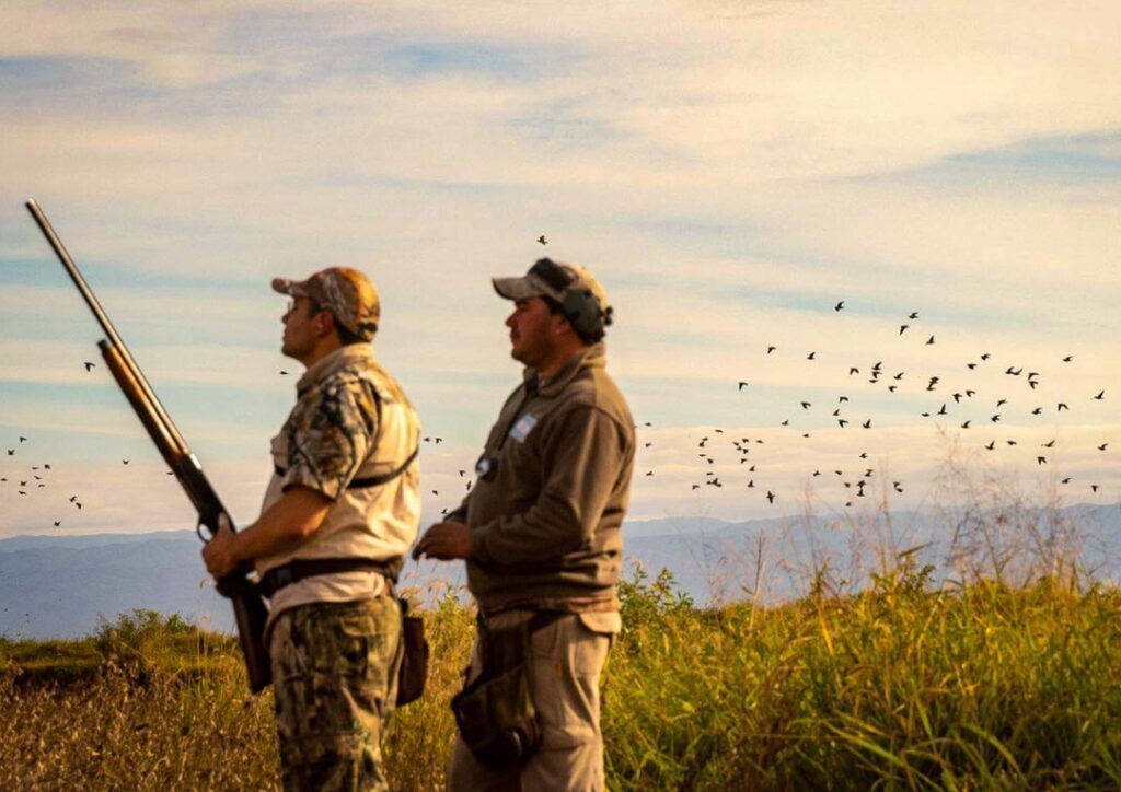 Two hunters armed in the field observing hundreds of doves flying during a dove hunting session at Alijilan Lodge, Tucumán, Argentina with C&C Outfitters